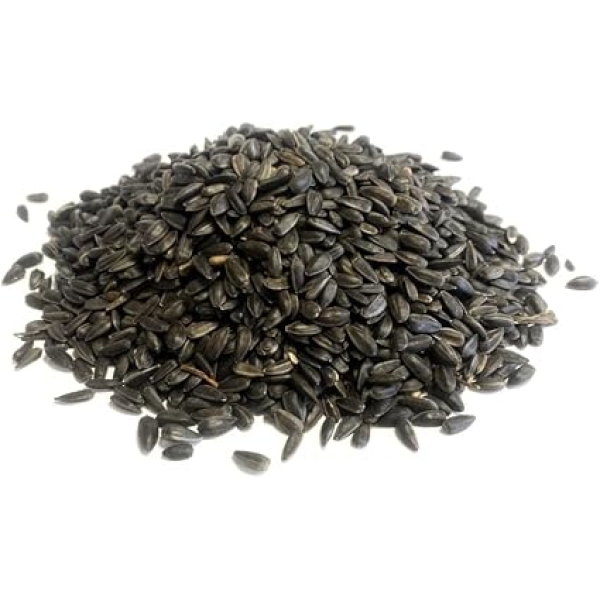 6kg Black Sunflower Seed 6kg